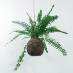 Corso Kokedama milano